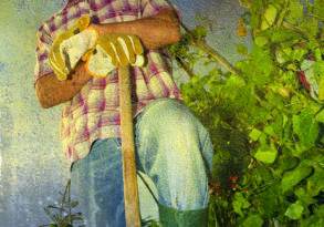 Man in plaid shirt and rubber boots leaning on a shovel in a garden, surrounded by lush green plants, looking up thoughtfully, honoring the web of life.