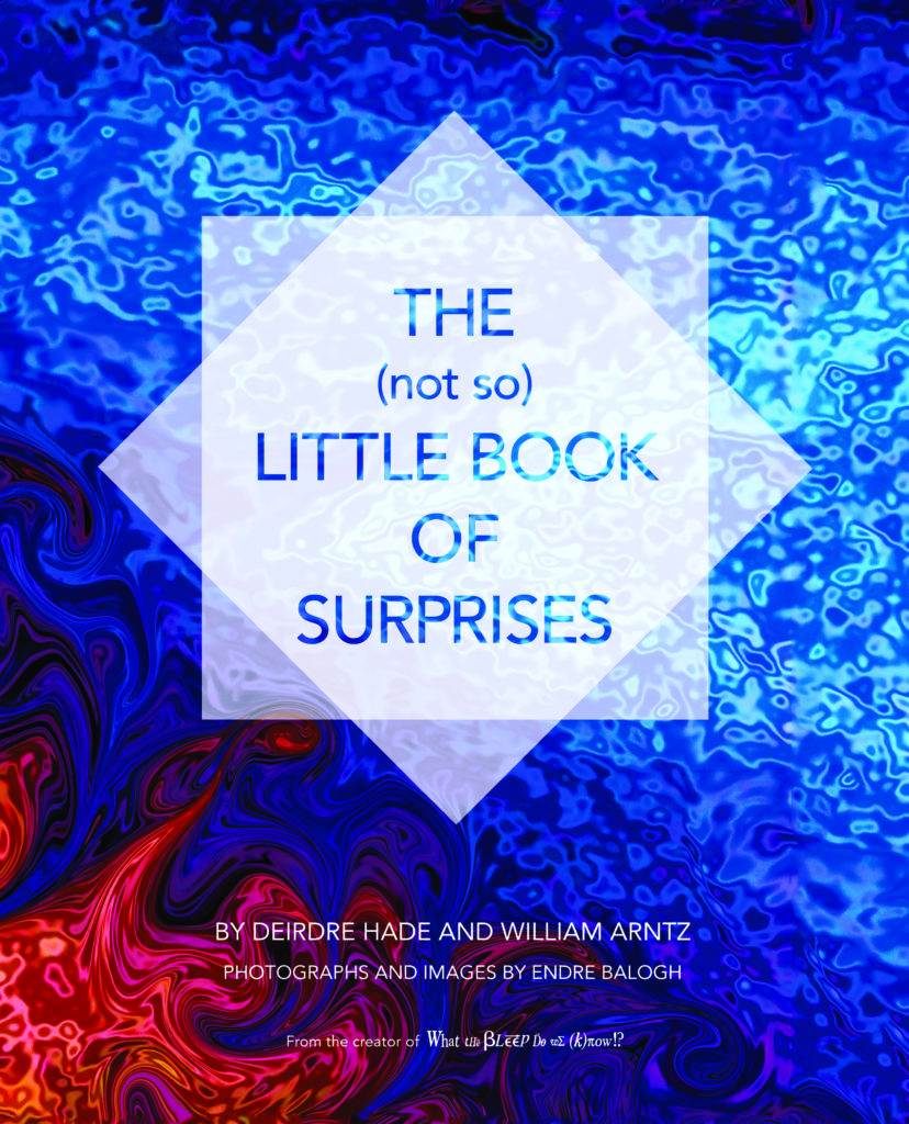 Cover The (not so) Little Book of Surprises