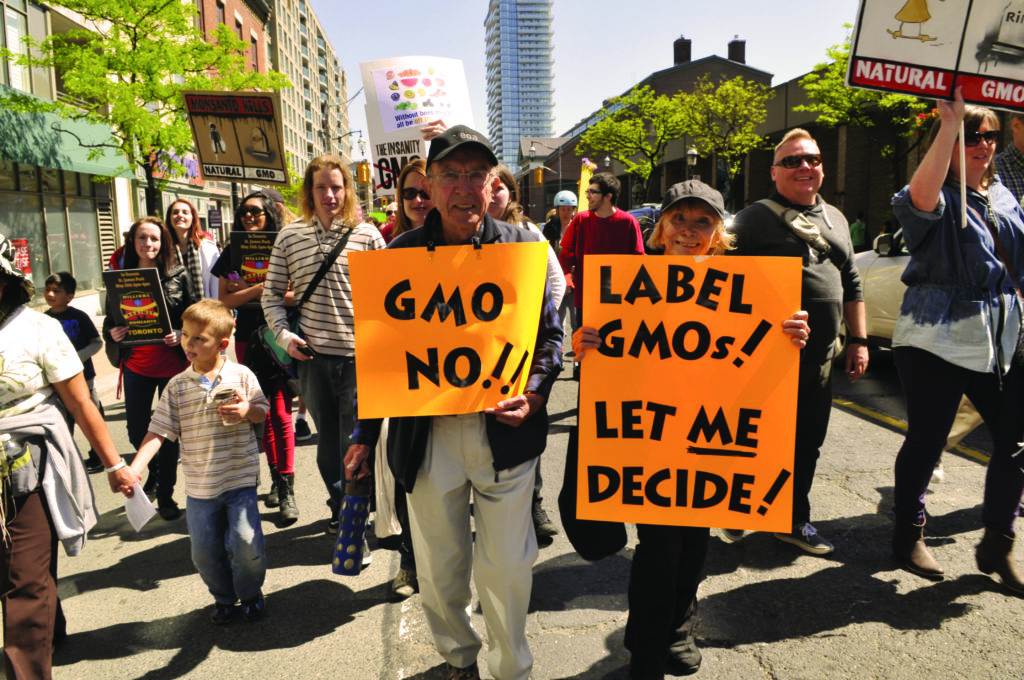 people at the demonstration