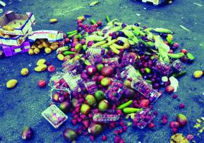 A pile of discarded fruits and vegetables sprawled on the ground, some in damaged packaging— a clear example of poor farm-to-landfill practices.