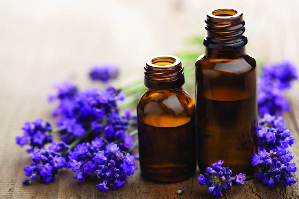 flowers and two bottles with liquid