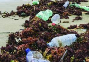 Plastic pollution and trash scattered among seaweed on a sandy beach, with grass-covered cliffs in the background.