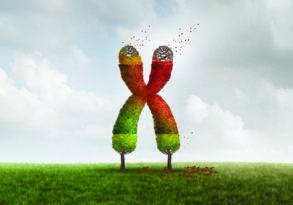 Two trees shaped like a ribbon, symbolizing the science of aging with one half green and the other displaying signs of aging in red, merging at the top with leaves scattering, set against a cloudy sky