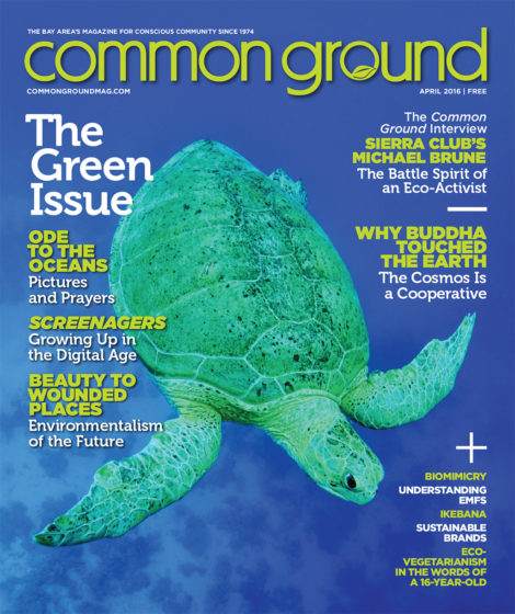 April 2016 cover of Common Ground magazine featuring a sea turtle swimming in clear water with headlines about environmental topics and an interview with Michael Brun.