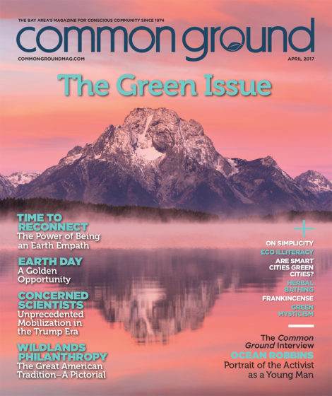 April 2017 issue of Common Ground magazine, titled "The Green Issue," featuring a snow-capped mountain and reflective lake on the cover.