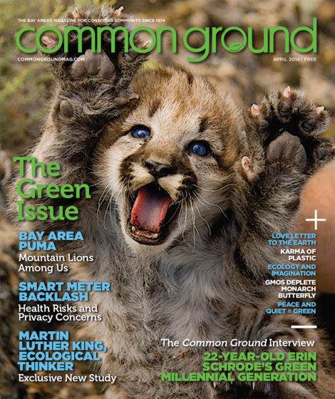 Cover of April 2014 "Common Ground" magazine featuring a close-up image of a baby mountain lion with mouth open in a roar, surrounded by green text and various headlines.