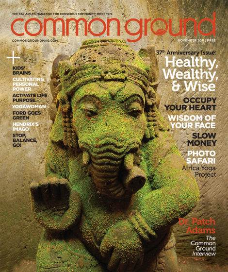 Cover of November 2011 "Common Ground" magazine featuring a close-up image of a green, moss-covered stone sculpture with intricate details. Text highlights include featured articles and anniversary note