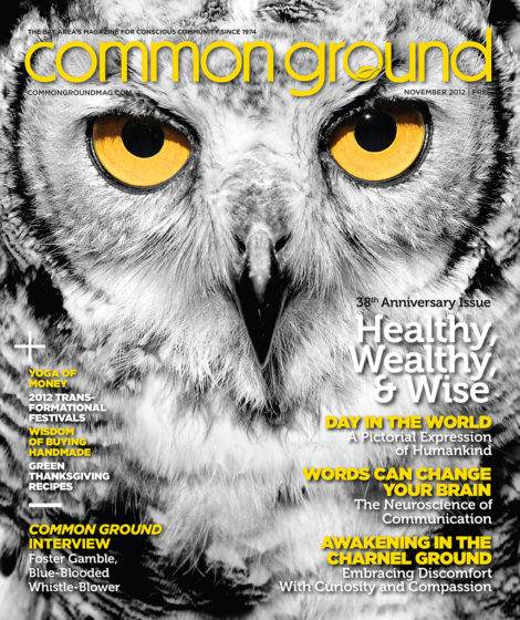 Close-up of an owl with large yellow eyes on the cover of Common Ground magazine, November 2012 issue, featuring health and wellness topics.