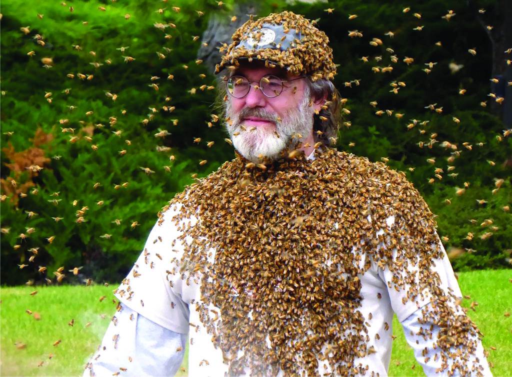 Paul Stamets may have discovered an important clue to solving the colony collapse disorder: mycelium.