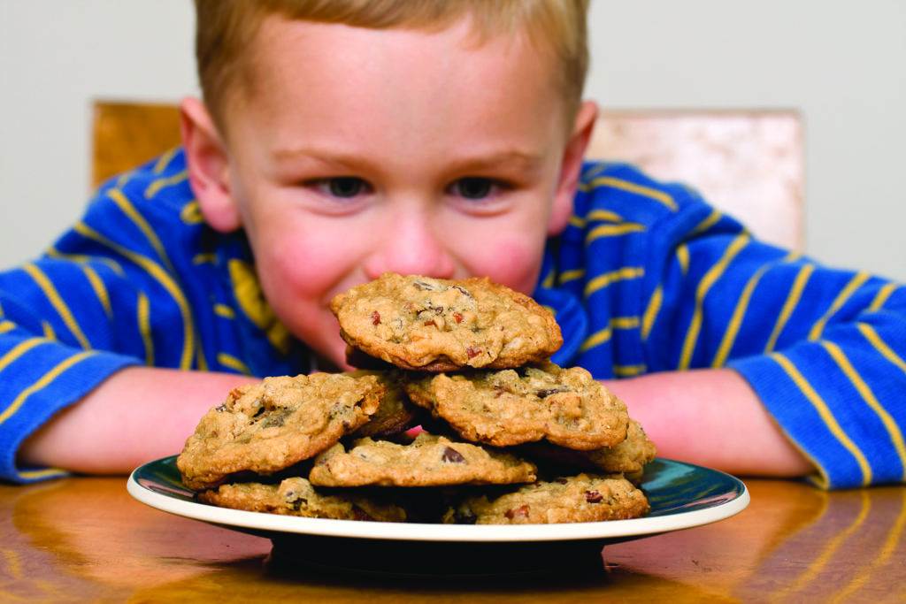 boy is looking to the plate with cookies