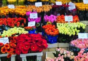 A colorful display of various flowers for sale at a market, with visible price tags on each bunch, enhances the well-being of shoppers.