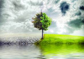 A surreal landscape with a lone tree on a grassy knoll, half of its leaves lush and green, the other half barren, juxtaposed against a stormy sky and a flooded, cracked earth