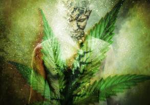 A surreal artistic image of a figure merged with cannabis leaves, set against a textured green and golden backdrop with speckles of light.