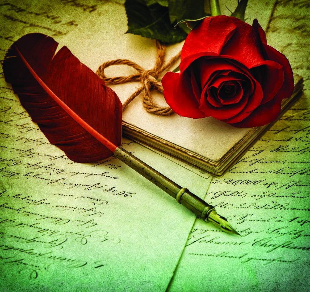 paper and red rose