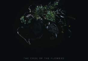 Album cover of ayla nereo's "the code of the flowers" featuring an artistic, dark silhouette of a woman adorned with floral elements, each enriched with botanical meanings, against a black background.