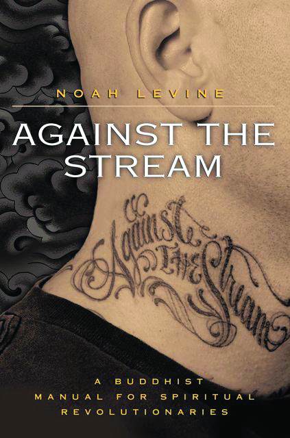 Agains the Stream book image