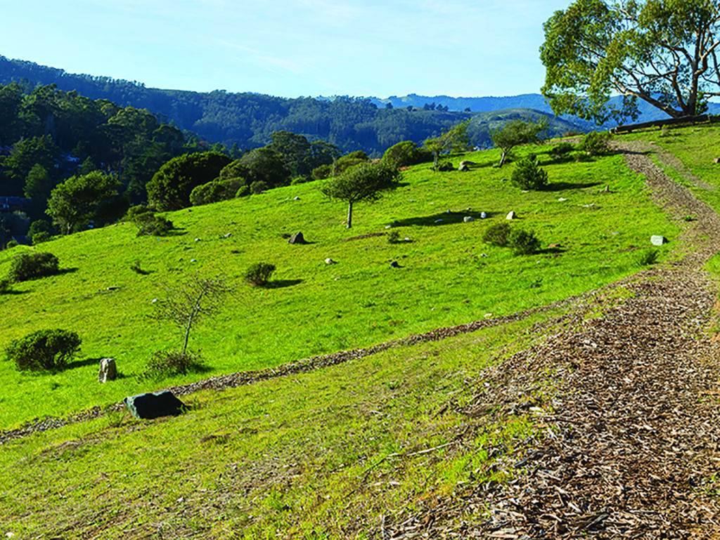 Fernwood Cemetery in Marin County