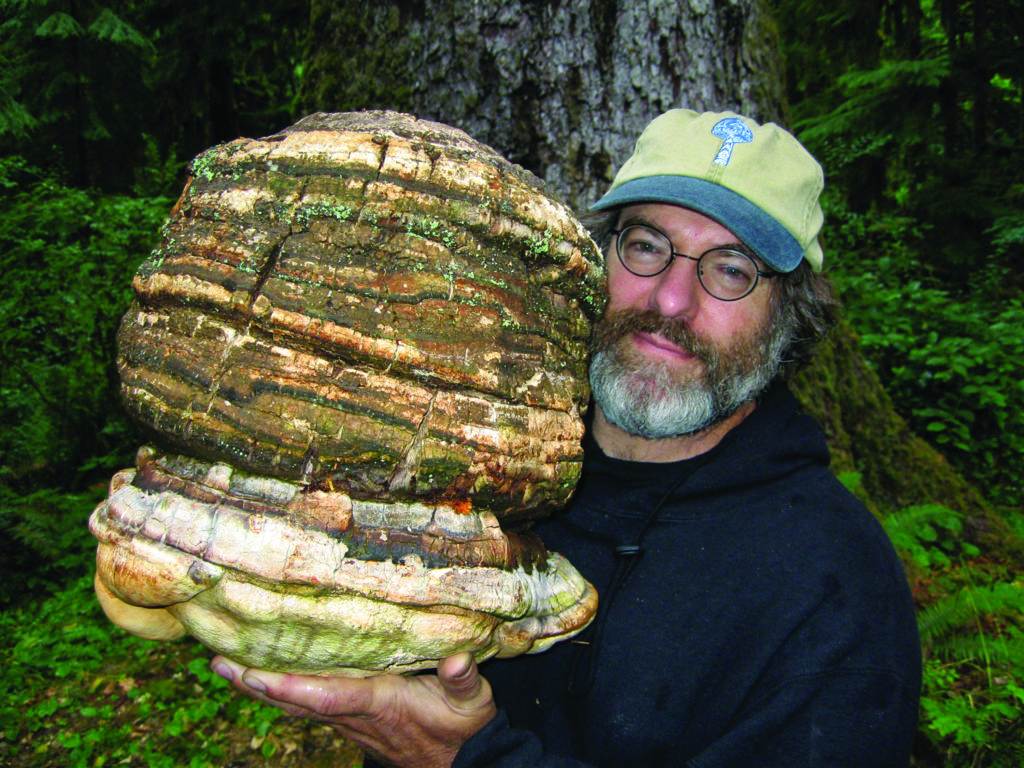 Paul Stamets holding Fomitopsis officinalis or commonly known as agarikon