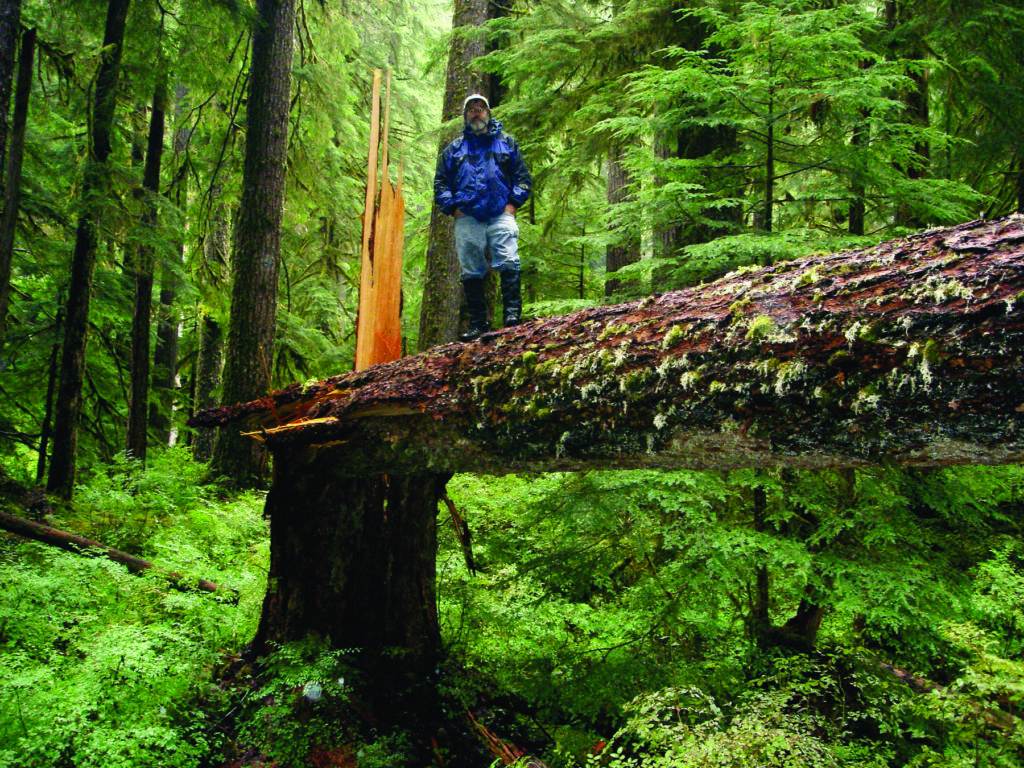 Paul in the forest