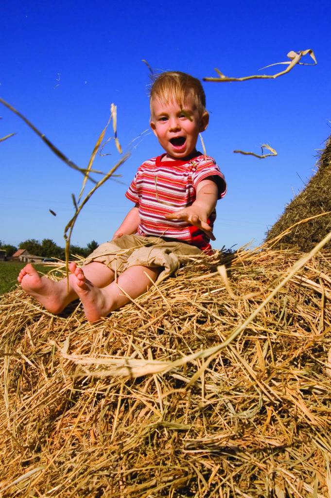 little boy in a manger