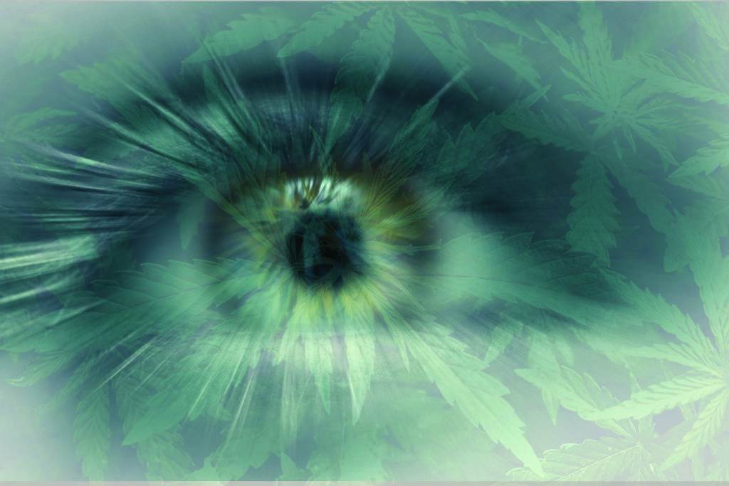 eye and cannabis