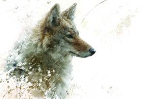 A digital artwork of a coyote's head depicted in a watercolor style, blending earthy splashes and strokes on a light background.