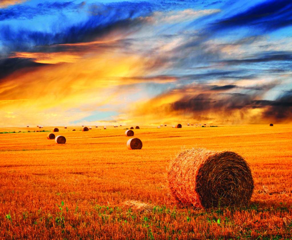 Golden sunset over farm field with hay bales