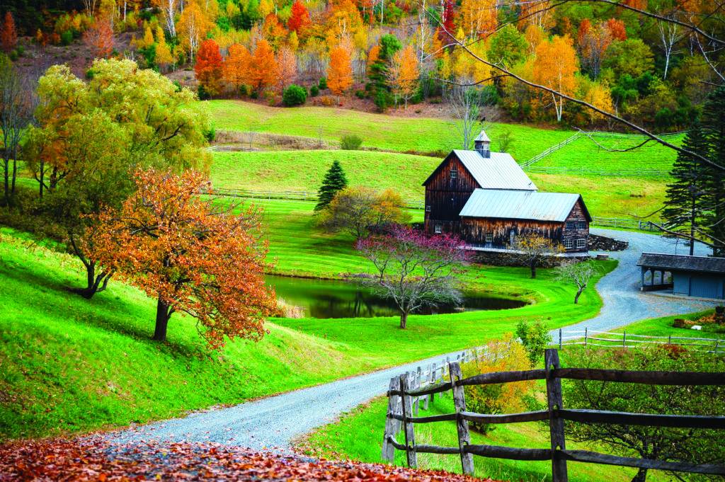 Fall foliage, New England countryside at Woodstock, Vermont, farm in autumn landscape. Old wooden barn surrounded by colorfull trees.