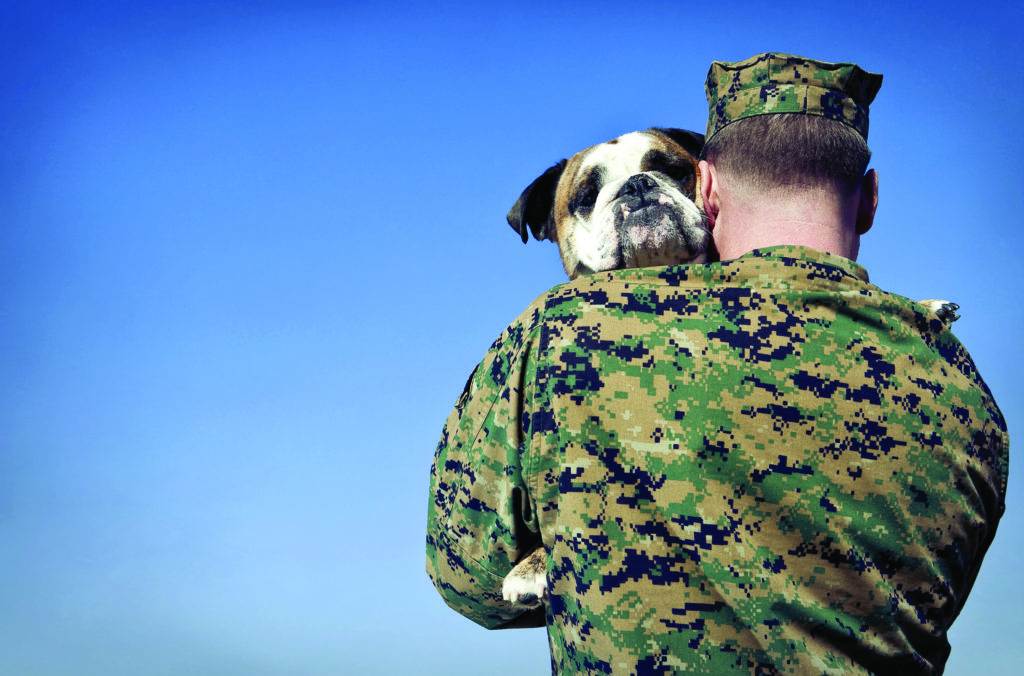 soldier with dog