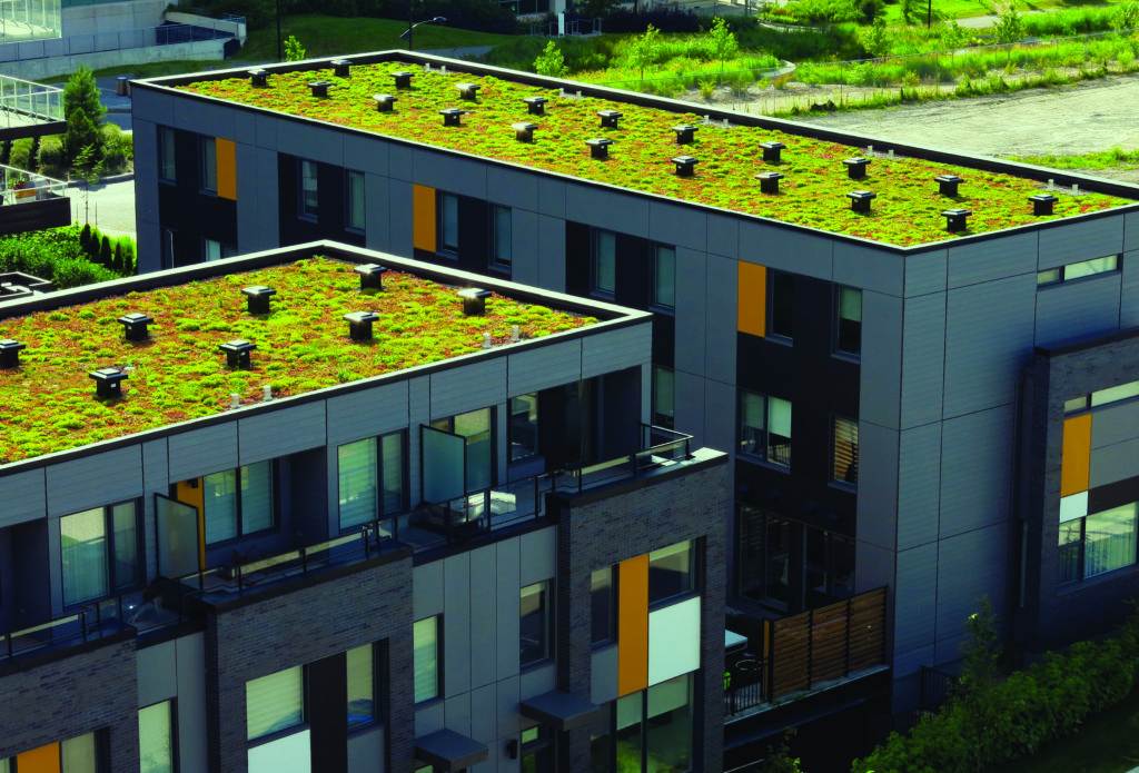 Green roofs