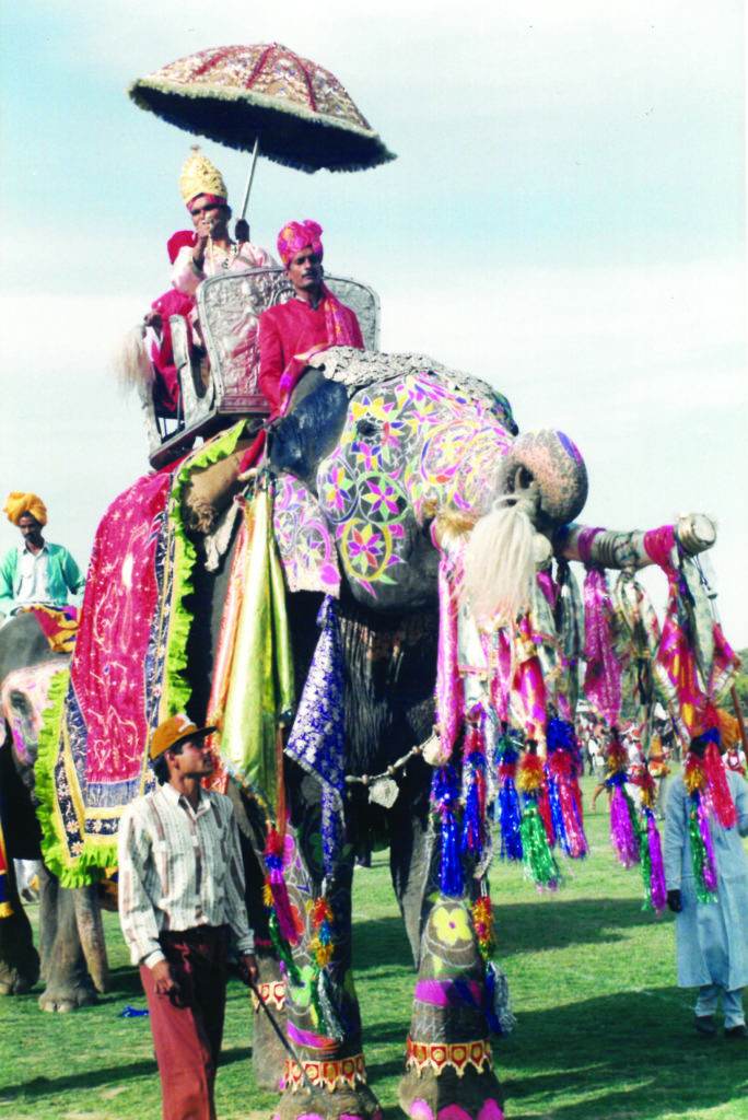 elephant procession