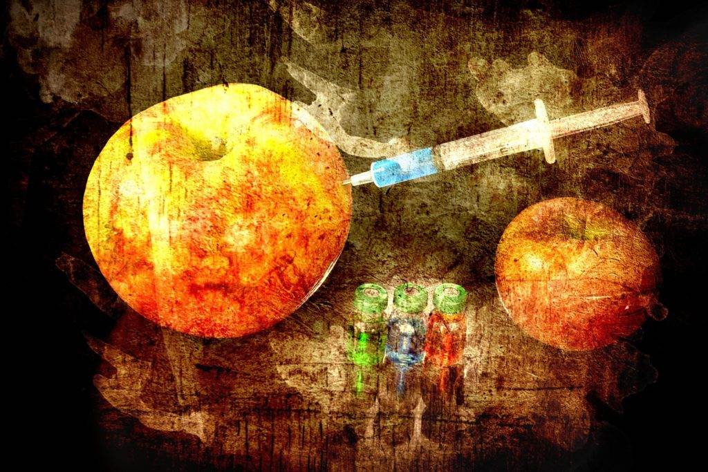 gmo apples