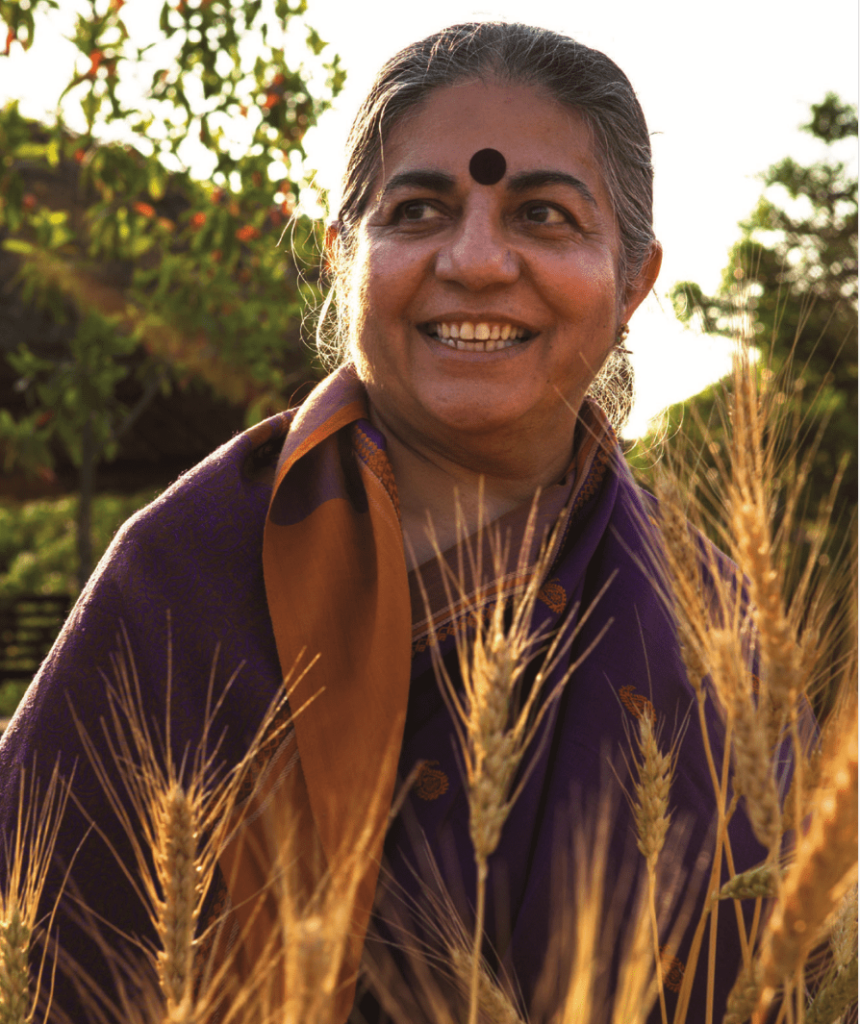 vandana shiva portrait. vandana smiling in barley field. sun in background.